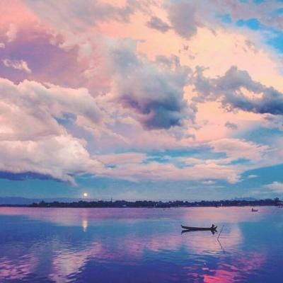 سبا حمید avatar
